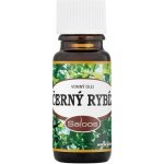 Aromis vonný olej Rybíz 10 ml – Hledejceny.cz