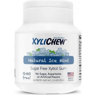 Xylichew žvýkačky ice mint 60 ks – Hledejceny.cz