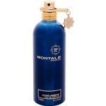 Montale Aoud Ambre parfémovaná voda unisex 100 ml tester – Hledejceny.cz