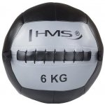 HMS Wall ball 6 kg – Zboží Dáma