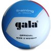Volejbalový míč Gala BV5565S