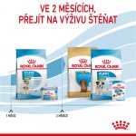 Royal Canin Starter Mother&Babydog Mini 2 x 8,5 kg – Hledejceny.cz