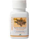 Green world Fen Czjao propolis 60 kapslí – Hledejceny.cz