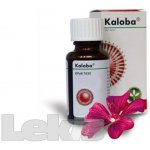 KALOBA POR GTT SOL 1X50ML – Hledejceny.cz