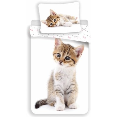 Jerry Fabrics Povlečení fototisk Kitten white 140x200 70x90 – Zboží Mobilmania