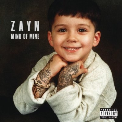 Zayn - Mind Of Mine -Deluxe LP – Zbozi.Blesk.cz