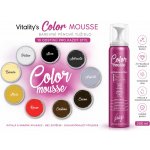 Vitality's Art Color Mousse barevné pěnové tužidlo Silver stříbrná 200 ml – Zboží Mobilmania