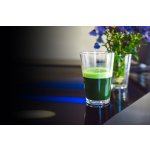 Prom-in Green Elixir Pro+ 405 g lesní plody – Hledejceny.cz