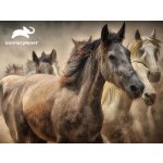 PRIME 3D PUZZLE Koně 300 ks – Sleviste.cz