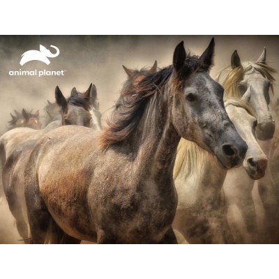 PRIME 3D PUZZLE Koně 300 ks – Sleviste.cz