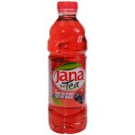 Jana ledový čaj lesní ovoce 0,5 l – Zboží Dáma