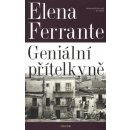 Kniha Ferrante Elena: Geniální přítelkyně