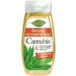 BC Bione Cosmetics šampon na mastné vlasy Cannabis 260 ml – Hledejceny.cz