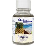 Spitzner Esence do sauny Ananas - Kokos 30 ml – Hledejceny.cz