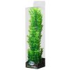 Akvarijní rostlina I--Z ATG Premium rostlina Velká 38-42 cm 516