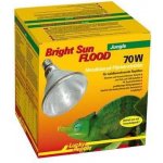 Lucky Reptile Bright Sun Flood Jungle 150 W – Hledejceny.cz