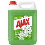 Ajax univerzální saponát zelený 5 l – Zboží Dáma