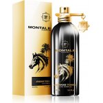 Montale Paris Arabians Tonka parfémovaná voda unisex 100 ml – Zbozi.Blesk.cz