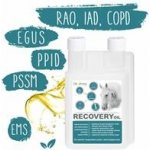 Dromy Recovery oil 3 l – Zboží Dáma