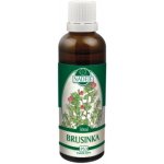 Naděje Brusinka tinktura z pupenů rostlin 50 ml – Hledejceny.cz