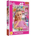 Trefl Barbie: Seznamte se s Barbie 100 dílků – Hledejceny.cz