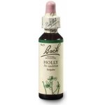 Bachovy esence HOLLY č.15 Cesmína ostrolistá 20 ml – Hledejceny.cz