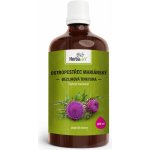 Herbavis Ostropestřec tinktura 100 ml – Hledejceny.cz