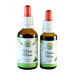 Salvia Paradise Muňa Muňa AF tinktura 50 ml – Hledejceny.cz