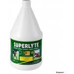 TRM Superlyte Syrup 2:2:1 3,75 l – Hledejceny.cz