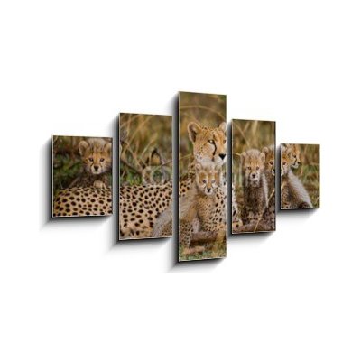 Obraz 5D pětidílný - 125 x 70 cm - Mother cheetah and her cubs in the savannah. Kenya. Tanzania. Africa. National Park. Serengeti. Maasai Mara. An excellent illustration