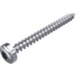 nerez_solar_martim Vrut půlkulatá hlava celozávit W9112 nerez A2 TORX Varianta: Vrut půlkulatá hlava TORX celozávit W9112 A2 - 4X45 - TX20 – Hledejceny.cz