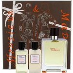 Hermés Terre D'Hermés EDT 100 ml + balzám po holení 40 ml + pěna na holení 50 ml dárková sada – Hledejceny.cz