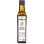 Solio Sezamový olej 0,25 l – Sleviste.cz