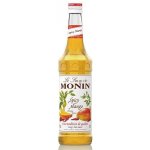 Monin Spicy Mango 0,7 l – Zboží Mobilmania