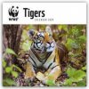 Kalendář WWF Tigers Tiger 2024