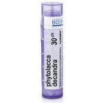 PHYTOLACCA DECANDRA POR 30CH GRA 4G – Hledejceny.cz