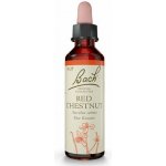 Bachovy květové esence Kaštan červený Red Chestnut 20 ml – Hledejceny.cz
