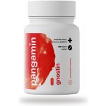 Pangamin Gnostin 200 tablet – Hledejceny.cz