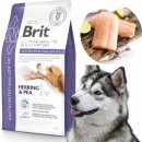 Granule pro psy Brit Veterinary Diet Dog Grain Free Gastrointestinal Low Fat 2 kg