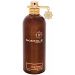 Montale Aoud Forest parfémovaná voda unisex 100 ml – Hledejceny.cz