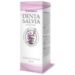 Denta Salvia concentrate šalvějová 50 ml – Sleviste.cz