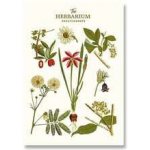 Shkolyaryk Náčrtník Sketch&Note – Zboží Dáma