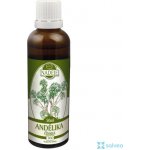 Milota Andělika čínská 50 ml – Hledejceny.cz