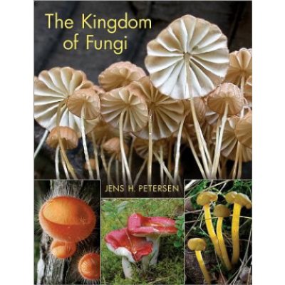 The Kingdom of Fungi - J. Petersen