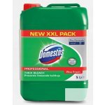 Domestos Professional Pine Fresh univerzální čistící prostředek 5 l – Zboží Dáma