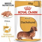 Royal Canin Adult Dachshund 85 g – Sleviste.cz