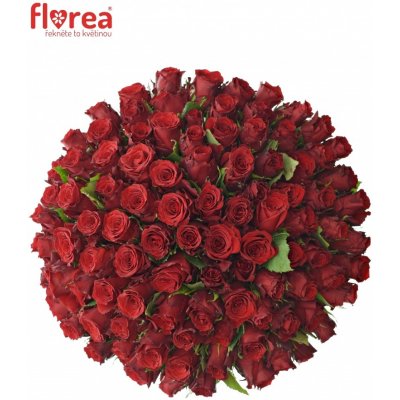 Kytice 100 rudých růží RED TORCH 60cm