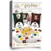 DVD film Topi Games Harry Potter: Mistr čar a kouzel