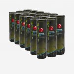 ARTENGO All Court Pro Swiss 72 ks – Hledejceny.cz