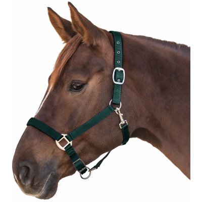 Waldhausen Ohlávka Satin tmavě zelená – Zboží Mobilmania